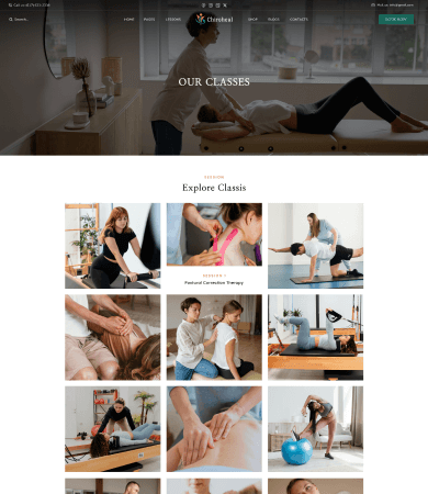 ChiroHeal